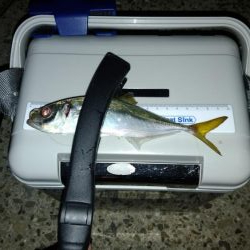 お盆休みを利用して