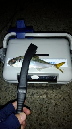 お盆休みを利用して