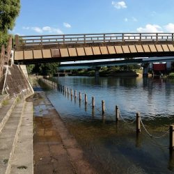 今日は一人で‼️