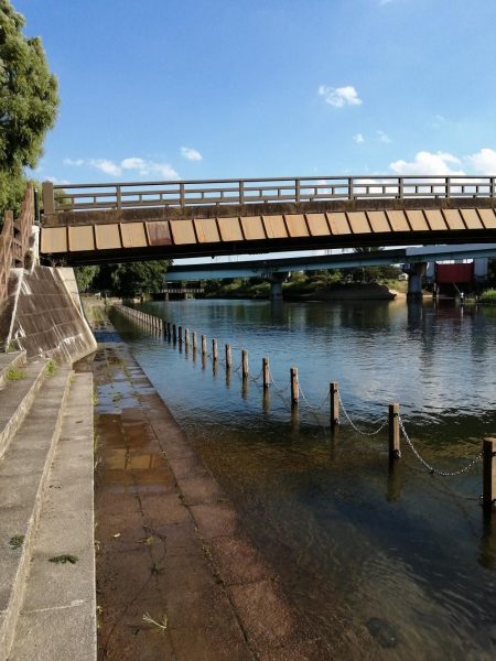 今日は一人で‼️