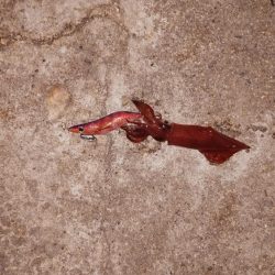 いい感じに浸かってます