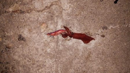 いい感じに浸かってます