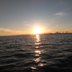 釣り船は釣れているのに