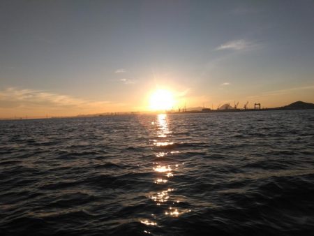 釣り船は釣れているのに