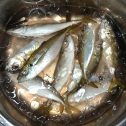 今年１番の暑さの中