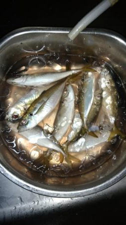 今年１番の暑さの中