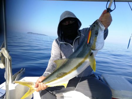 ナイスヒラマサ!!