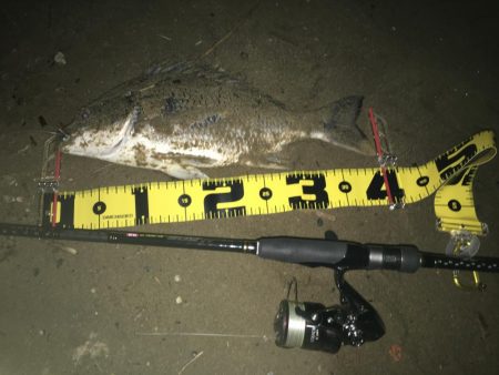 ２０２０　キビレ調査NO、２　