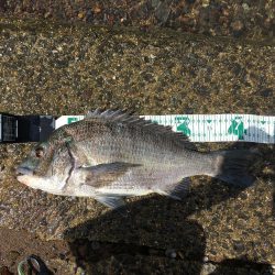 荒れる波間でHAPPY RIDE ON!