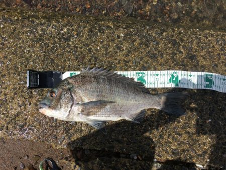 荒れる波間でHAPPY　RIDE　ON！