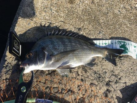 朝マズメのチニングゲーム！