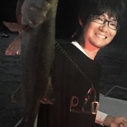 ボートシーバスゲーム 入船丸にRIDE!