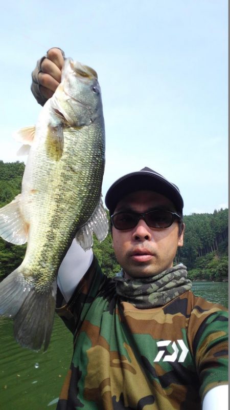 ライブスコープの釣り