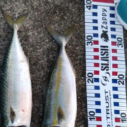 やっぱりショアジギ！！