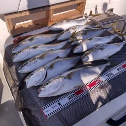 遊漁船SOUTH 8/14釣果