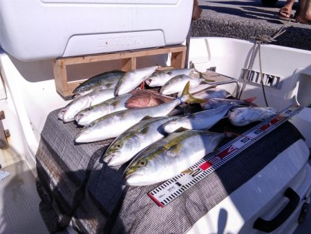 遊漁船SOUTH 8/15釣果