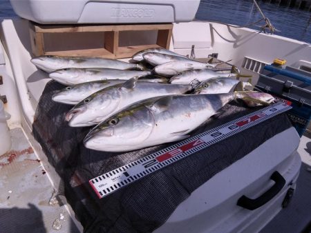 遊漁船SOUTH8/17釣果