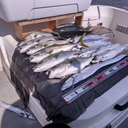 遊漁船SOUTH 8/30釣果