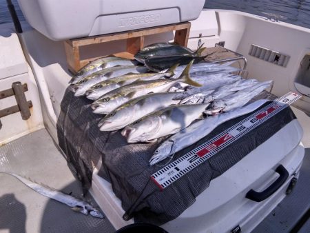 遊漁船SOUTH 8/30釣果