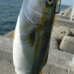 二日連続の釣行