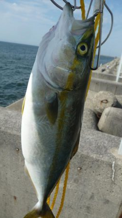 二日連続の釣行