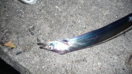 周りは爆釣！！