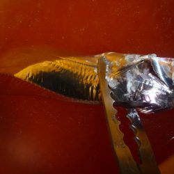 やっぱりちびタチ