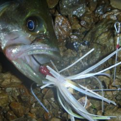 夕立スピナーベイト