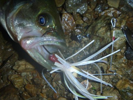 夕立スピナーベイト