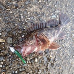 最後の30分で連発！