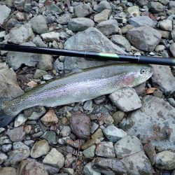 禁漁前に良型求めて