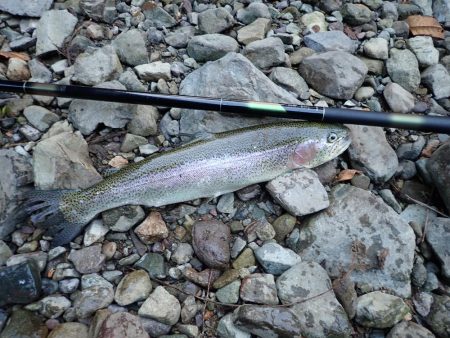 禁漁前に良型求めて