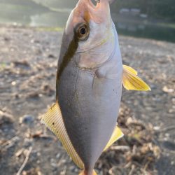 久々にショアジギング！