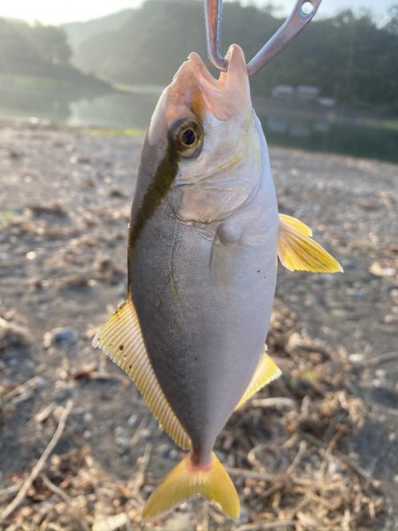 久々にショアジギング！