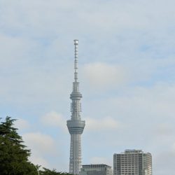 横十間川でハゼ釣り