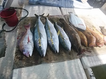 大物釣果速報！●光義丸：平戸市早福港