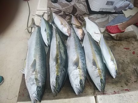 大物釣果速報！●光義丸：平戸市早福港