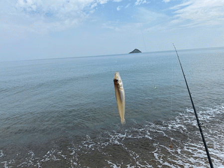 鳥取サーフでキス釣り(2020-2)