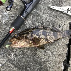 岸和田あたりで