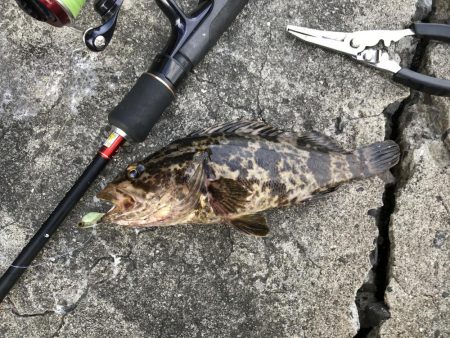 岸和田あたりで