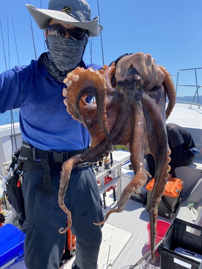 ミタチ丸 釣果