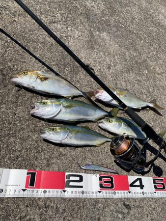 ショアジギング