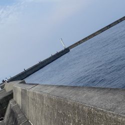 人は多いが魚は少ない