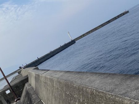 人は多いが魚は少ない