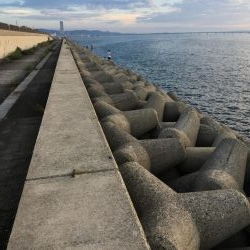 今年初タチウオ