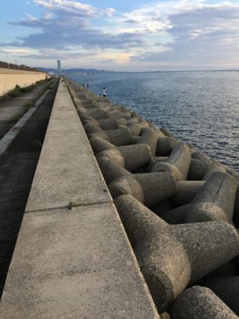 今年初タチウオ