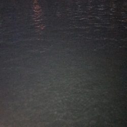 淀川のチニングパート3