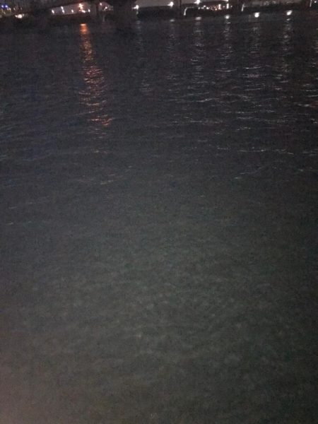 淀川のチニングパート3