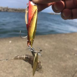 真っ昼間のマゴチ二発