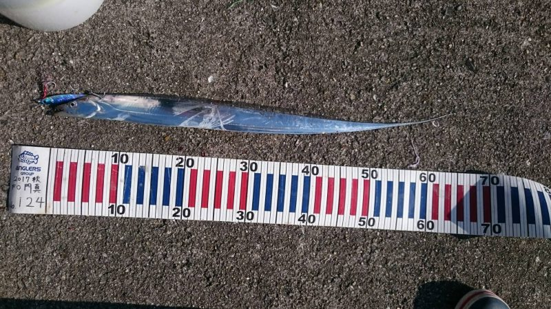 ショアジギ&飲ませ